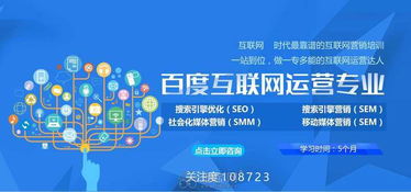 联网运营师如何高效经营电子商务 策略与实践