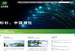 龙泉电脑综合服务 网站开发、维修与数据安全保障